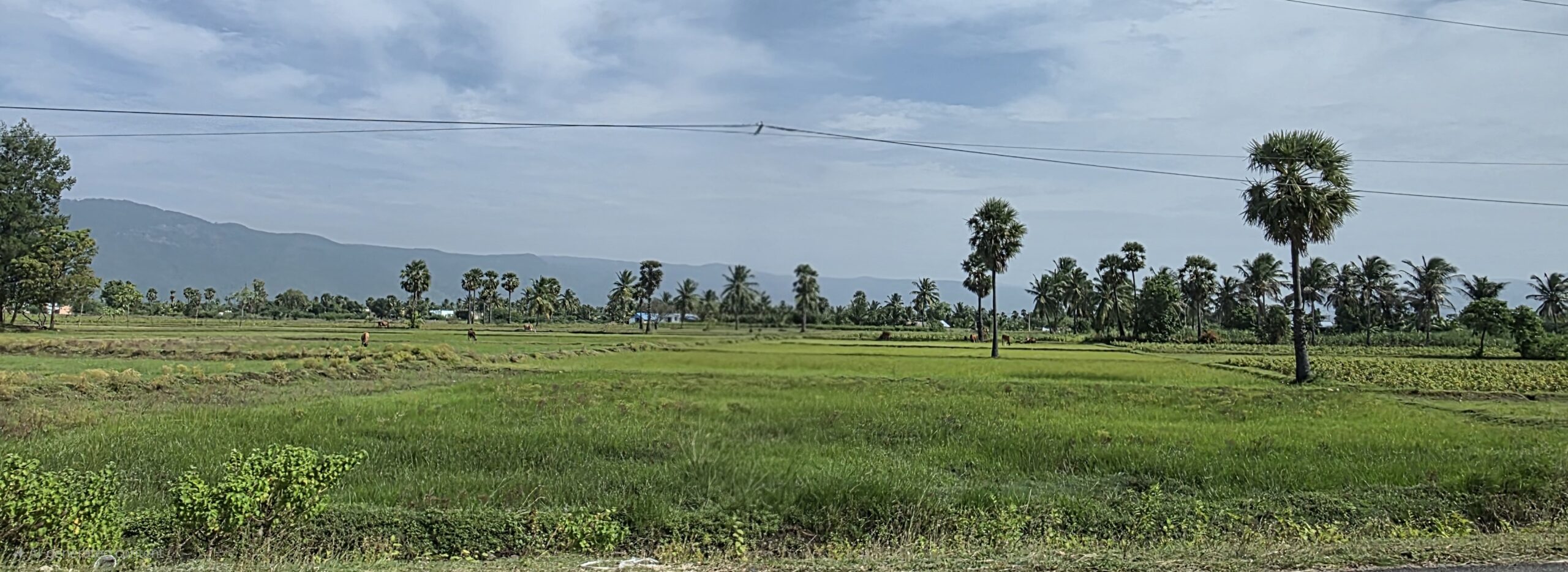 20250912 0903351 Scaled