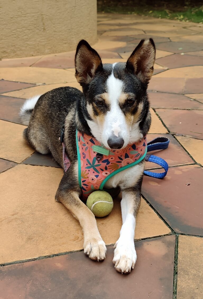 Welcome to My World - About Me (& Anju)