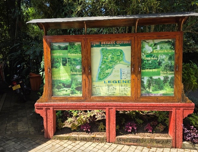 picture8